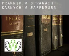 Prawnik w sprawach karnych w  Papenburg