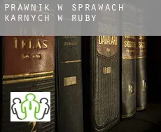 Prawnik w sprawach karnych w  Ruby