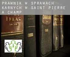 Prawnik w sprawach karnych w  Saint-Pierre-à-Champ