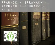 Prawnik w sprawach karnych w  Schwarzer Kater