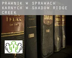 Prawnik w sprawach karnych w  Shadow Ridge Creek