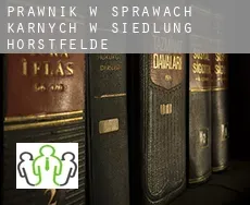 Prawnik w sprawach karnych w  Siedlung Horstfelde