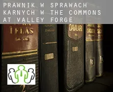 Prawnik w sprawach karnych w  The Commons at Valley Forge