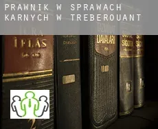 Prawnik w sprawach karnych w  Trébérouant