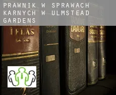 Prawnik w sprawach karnych w  Ulmstead Gardens