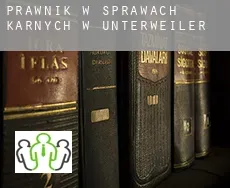Prawnik w sprawach karnych w  Unterweiler