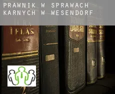 Prawnik w sprawach karnych w  Wesendorf