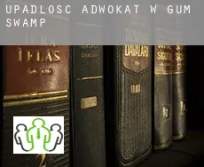 Upadłość adwokat w  Gum Swamp
