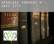 Upadłość adwokat w  Obey City
