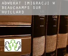 Adwokat imigracji w  Beauchamps-sur-Huillard