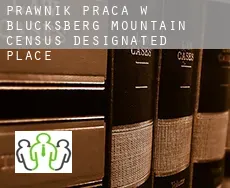 Prawnik praca w  Blucksberg Mountain