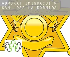 Adwokat imigracji w San José de la Dormida