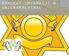 Adwokat imigracji w  Unterammerthal