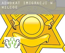 Adwokat imigracji w  Wilcoe
