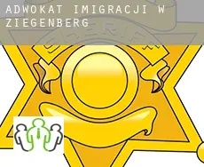Adwokat imigracji w Ziegenberg