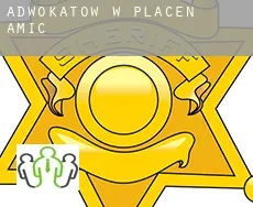 Adwokatów w  Placen Amic