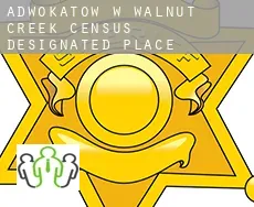 Adwokatów w  Walnut Creek