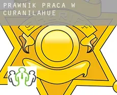 Prawnik praca w  Curanilahue