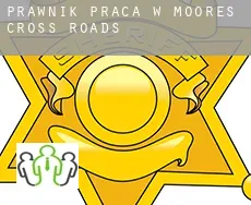 Prawnik praca w  Moore’s Cross Roads