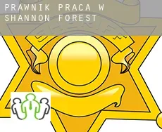 Prawnik praca w  Shannon Forest