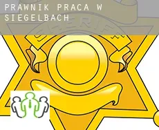 Prawnik praca w  Siegelbach