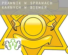 Prawnik w sprawach karnych w  Biewer