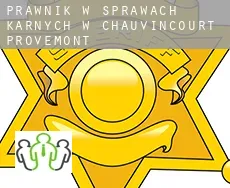 Prawnik w sprawach karnych w  Chauvincourt-Provemont