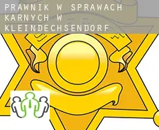 Prawnik w sprawach karnych w  Kleindechsendorf