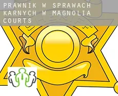 Prawnik w sprawach karnych w  Magnolia Courts