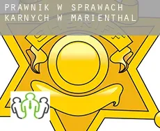 Prawnik w sprawach karnych w  Marienthal