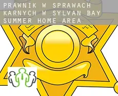 Prawnik w sprawach karnych w  Sylvan Bay Summer Home Area