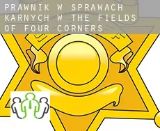 Prawnik w sprawach karnych w  The Fields of Four Corners