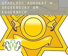 Upadłość adwokat w  Drosendorf am Eggerbach