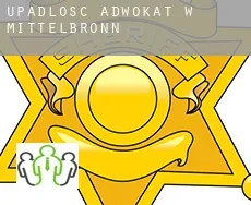 Upadłość adwokat w  Mittelbronn