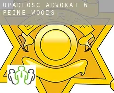 Upadłość adwokat w  Peine Woods