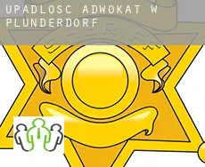 Upadłość adwokat w Plunderdorf