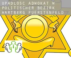 Upadłość adwokat w  Politischer Bezirk Hartberg-Fuerstenfeld