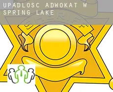 Upadłość adwokat w  Spring Lake