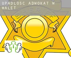Upadłość adwokat w  Walet