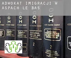Adwokat imigracji w Aspach-le-Bas