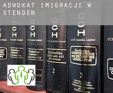 Adwokat imigracji w  Stenden