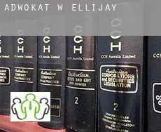 Adwokat w  Ellijay