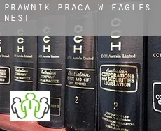 Prawnik praca w  Eagles Nest