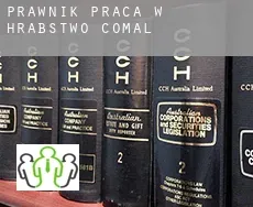 Prawnik praca w  Hrabstwo Comal