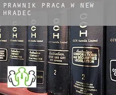 Prawnik praca w  New Hradec