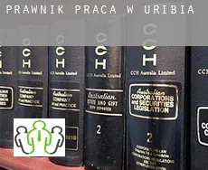 Prawnik praca w  Uribia