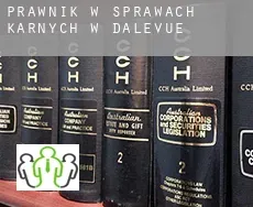 Prawnik w sprawach karnych w  Dalevue