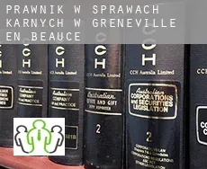 Prawnik w sprawach karnych w  Greneville-en-Beauce