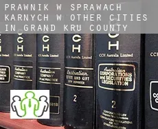 Prawnik w sprawach karnych w Other cities in Grand Kru County