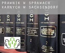 Prawnik w sprawach karnych w  Sachsendorf